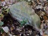 image of grave number 343692